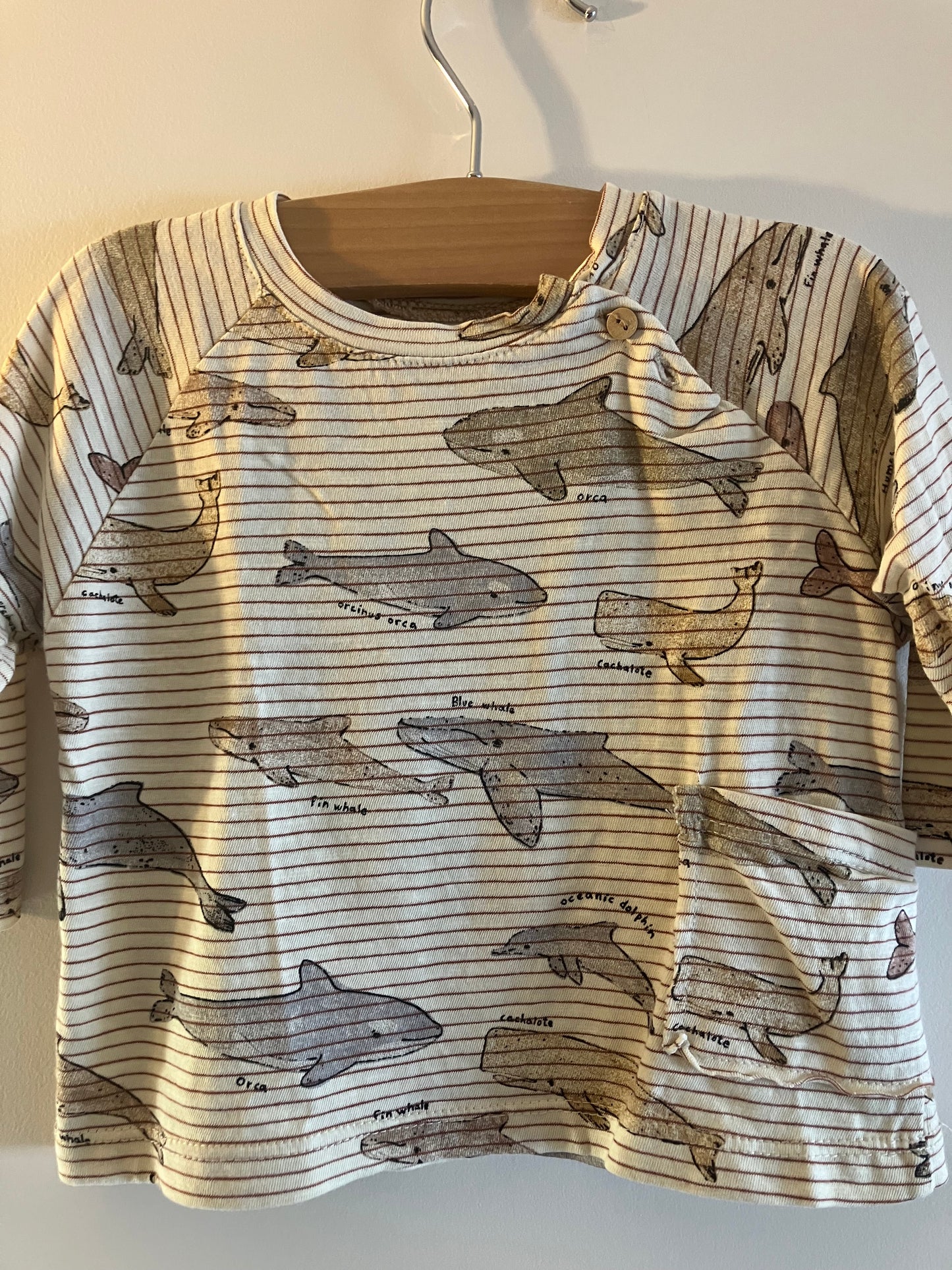 Tee-shirt ZARA 6 mois