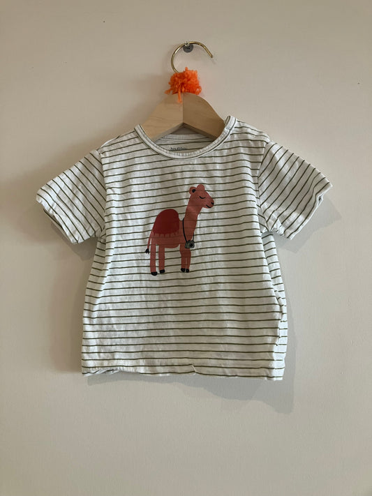 Tee-shirt TERRE DE MARIN  12 mois